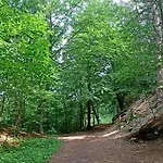 Heide 1 Lägenhet Walsrode