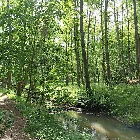 Heide 1 *