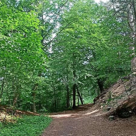 Heide 1 Daire Walsrode